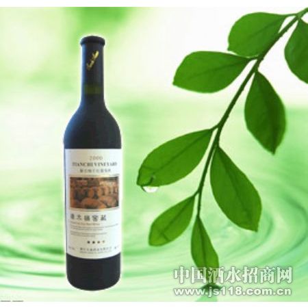 2000��ľͰ�Ѳ�