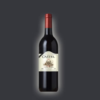 CASTEL2002���Ѿ�