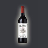 CASTEL2002���Ѿ�