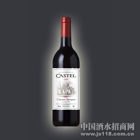 CASTEL2002���Ѿ�