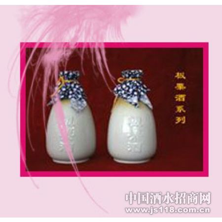 ������ϵ��֮02