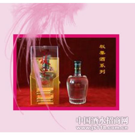 ������ϵ��֮08