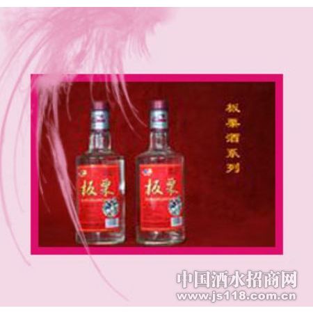 ������ϵ��֮06