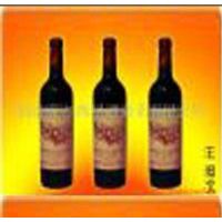 1995ׯ԰�ɺ��