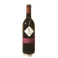 ��ŵ���������Ѿ�