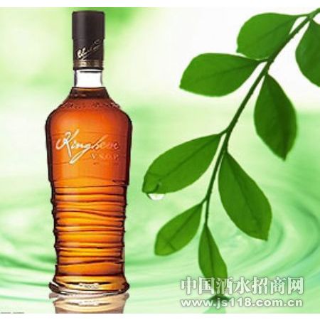 ����VSOP-������̴�����Ϣ