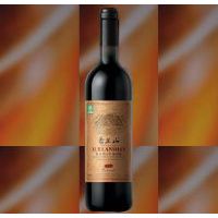 1995����ɸɺ����Ѿ�