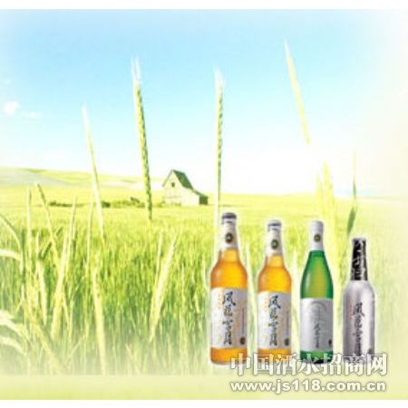 大理啤酒系列