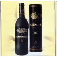 1995����ɸɺ����Ѿ�