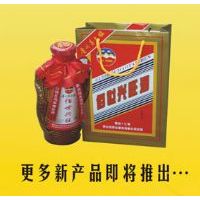 ����������ϵ��06