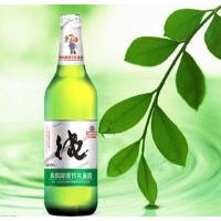 崂水啤酒500