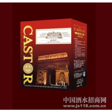 CASTOR-3L���ְ��ɺ����Ѿ�