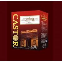 CASTOR-3L���ְ��ɺ����Ѿ�
