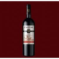 CASTOR��ϼ��ɺ�