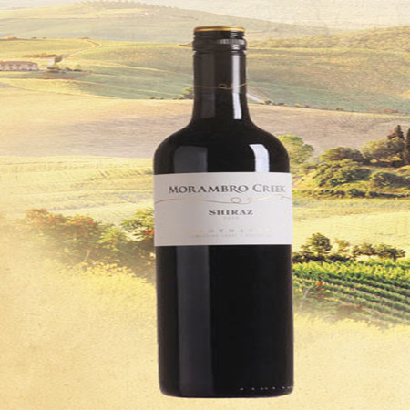 2006��ī�ױ�СϪ�����Ӹɺ����Ѿ�