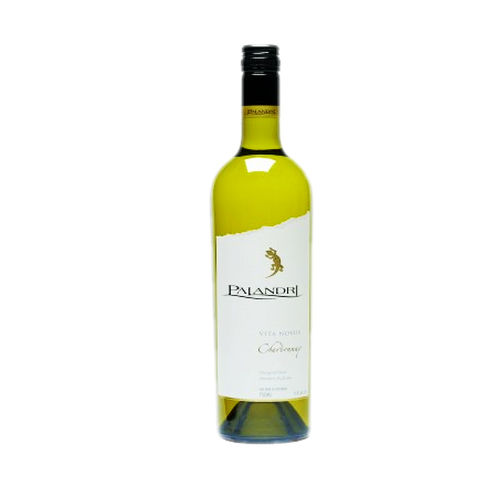 Vita Novus_CabernetSauvignon ������ ɯ����