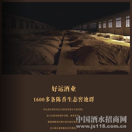 皇缘酒储酒窖
