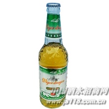 活力龙500啤酒