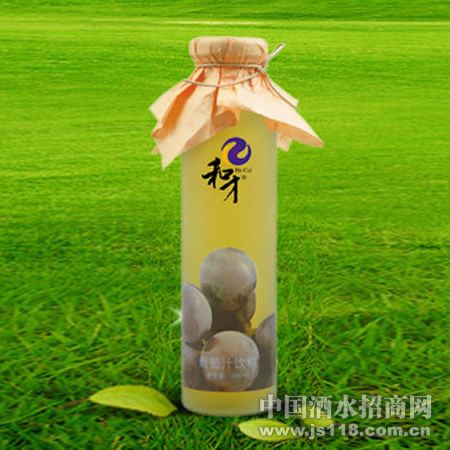Բ��ƿ280ML������ե��֭
