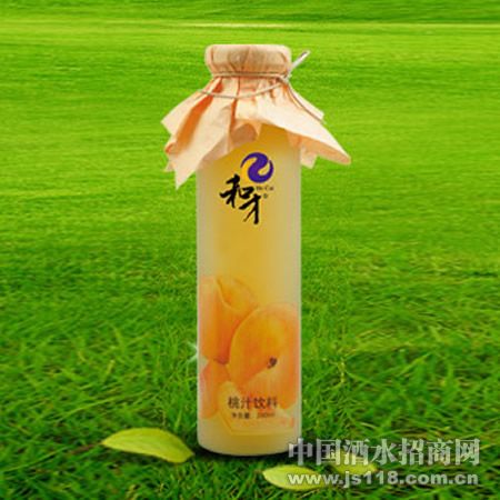 Բ��ƿ280ML����ե��֭