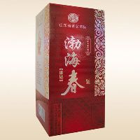 渤海春银钻