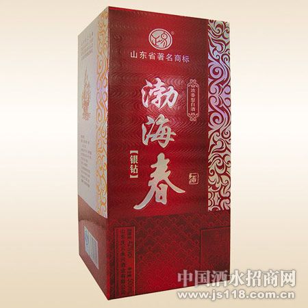 渤海春银钻