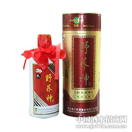 �Ҹ��嵨Ұ����52��