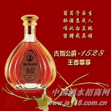 吉斯公爵1528