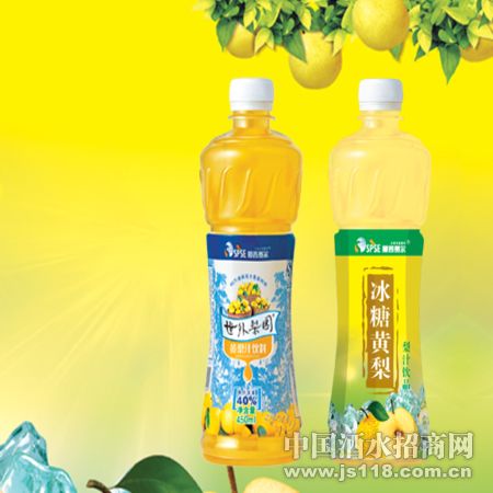 450mlPETϵ��