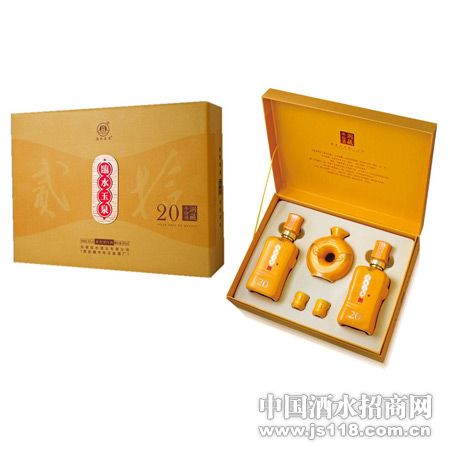 临水玉泉20年洞藏年份酒大礼盒