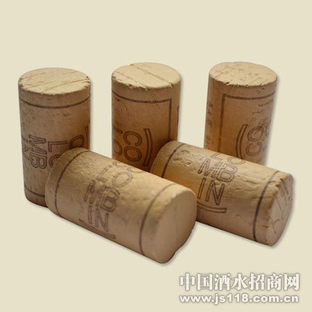ECO16�����ľ��