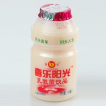 阳光乳酸菌