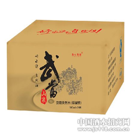 380ml����䵱ɽȪ��ˮ