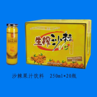 ɳ����֭���� ��250ml2ƿ��