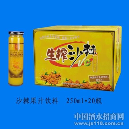 ɳ����֭���� ��250ml2ƿ��