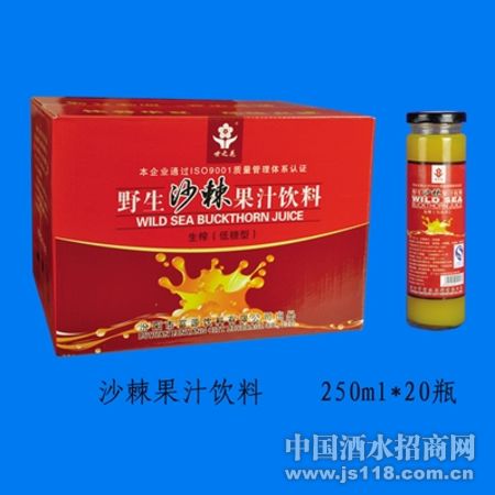 ɳ����֭���ϣ�250ml2ƿ��