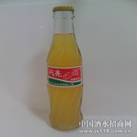 �ƽ��ҹ�֭����