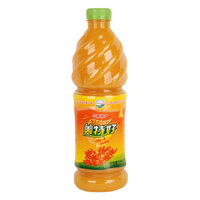 1.25L���غ�ɳ�������֭����