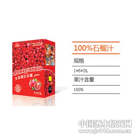 100%ʯ��֭
