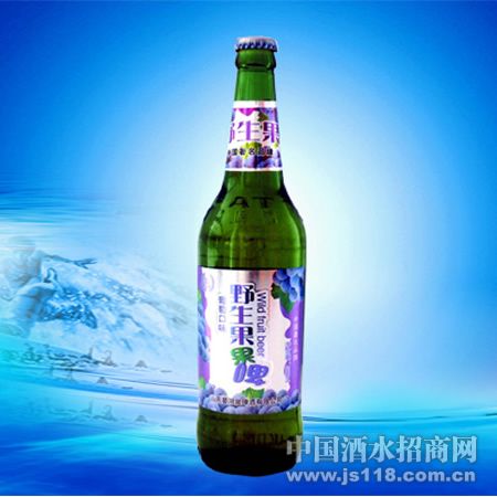 ��ݮ��ơ500ML
