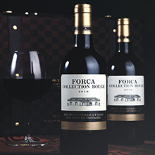 FORCA C. R. ��ɳ ▪ ���