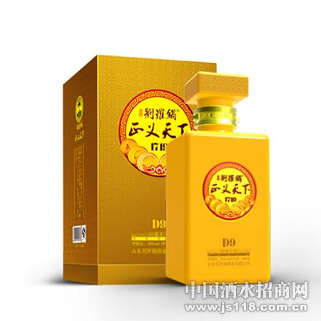 D9正义天下