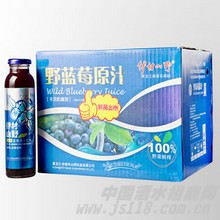 蓝莓果实