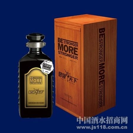 �ߵ�ľ��װ500ml
