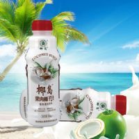 Ҭ��(����)Ҭ֭500ML