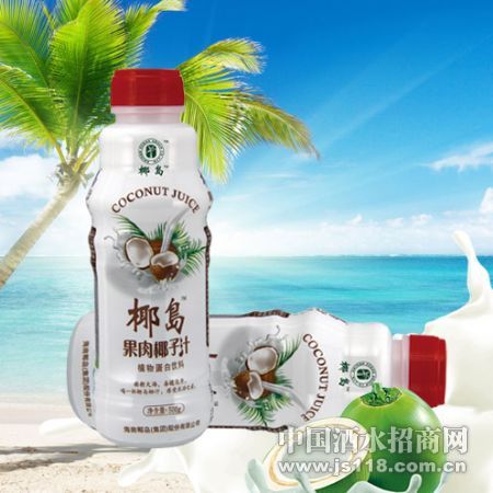Ҭ��(����)Ҭ֭500ML