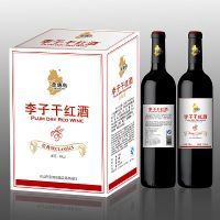 经典版李子干红酒
