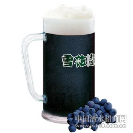 ѩ����ݮ