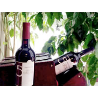 5FIVE CELLARS ��Ʊ���