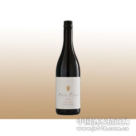 ��ɫ���ڱ�ŵ2009�����Ѿ�